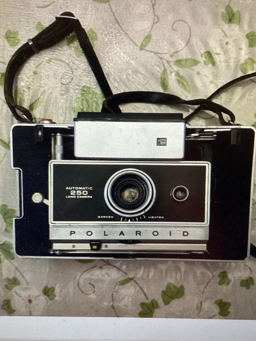 Vintage Polaroid 250  Camera with Case